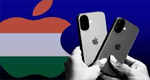 Apple Store Locations Logo