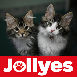 Jollyes Locations Logo UK