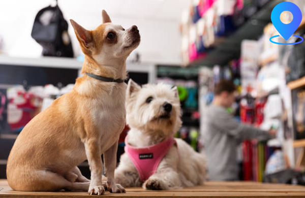 Pet Store Locations in the USA