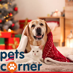 Pets Corner Locations Logo UK