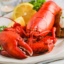 Red Lobster Locations Logo